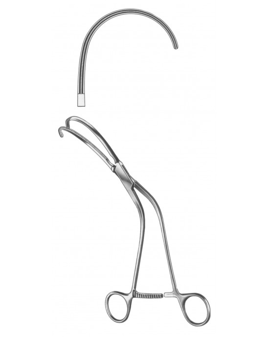 SS-19-5565-01