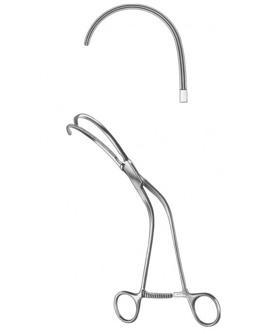 SS-19-5565-02