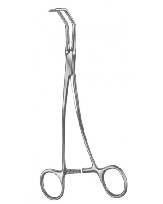 SS-19-5568-00