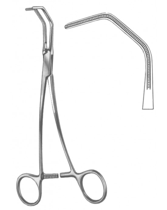 SS-19-5568-25