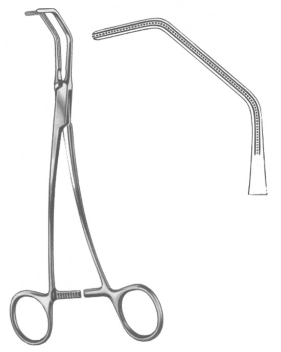 SS-19-5568-26