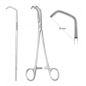 SS-19-5571-01