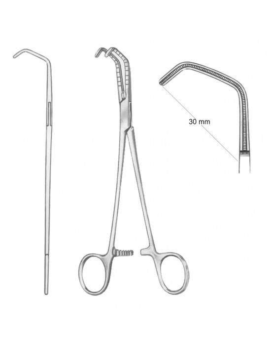 SS-19-5571-01