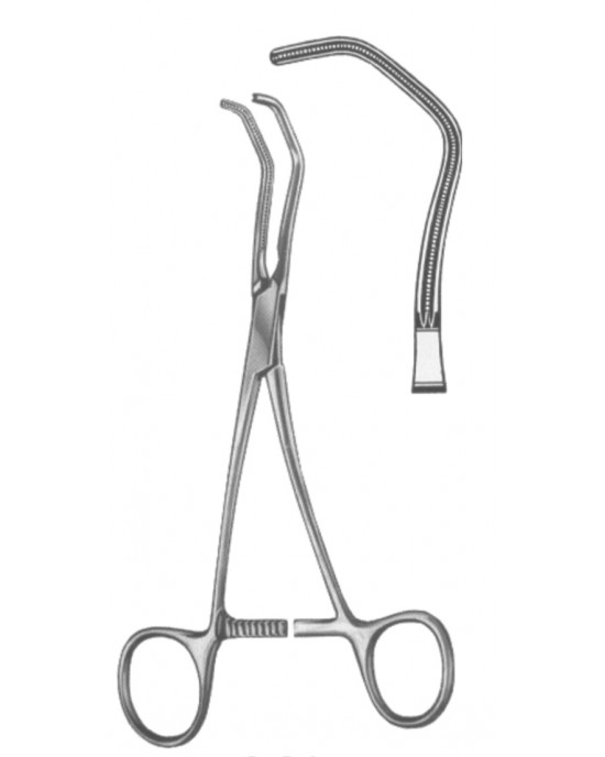 SS-19-5573-17