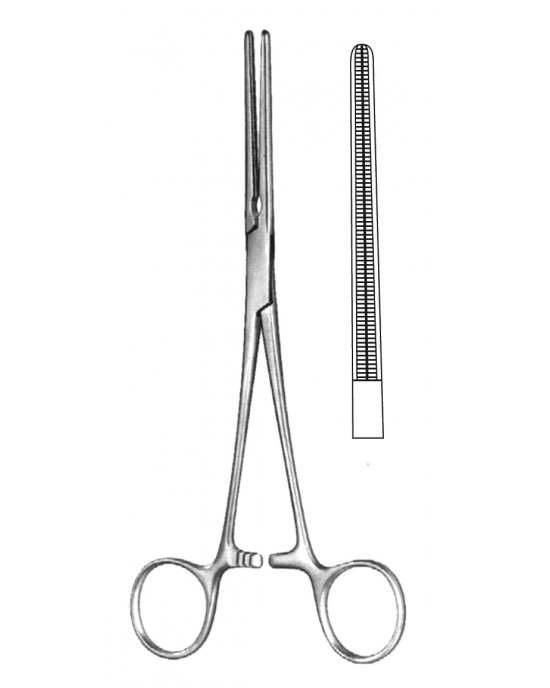 SS-19-5578-18