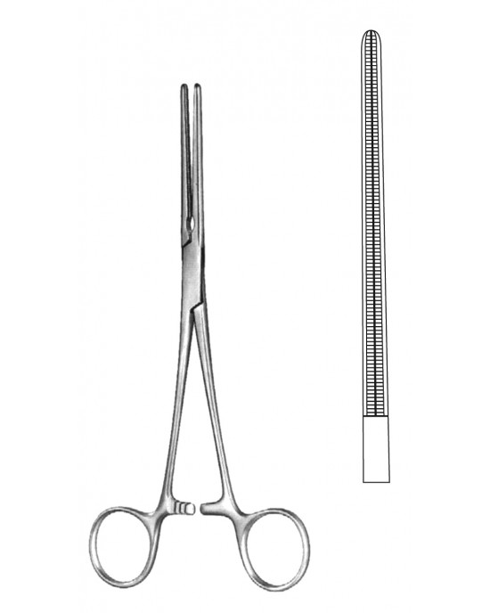 SS-19-5578-26