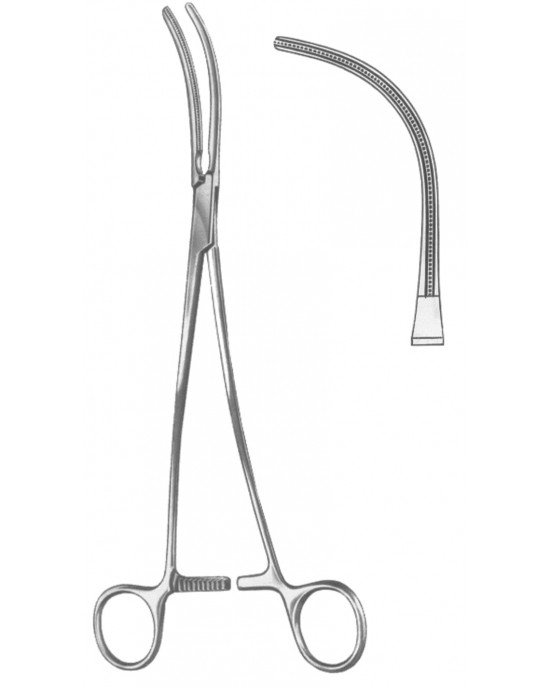 SS-19-5579-23