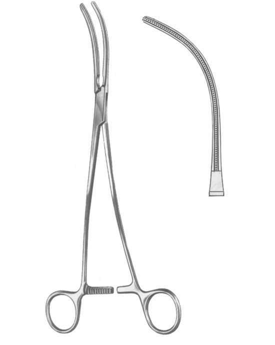 SS-19-5579-24