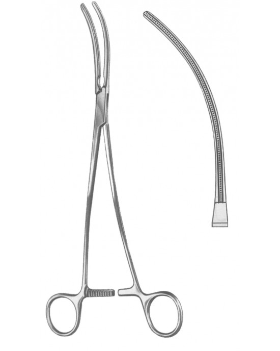 SS-19-5579-25