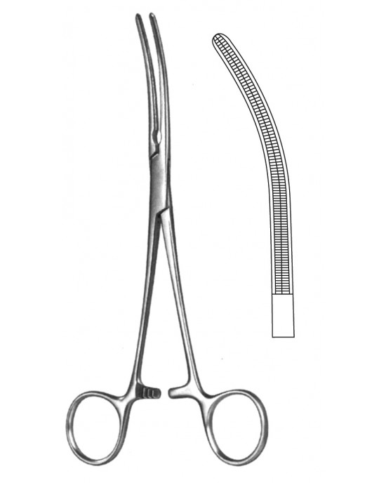 SS-19-5580-20