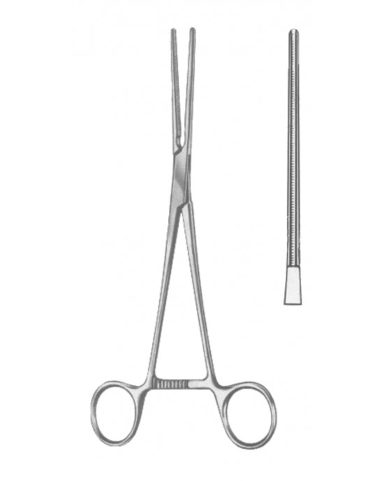SS-19-5584-17