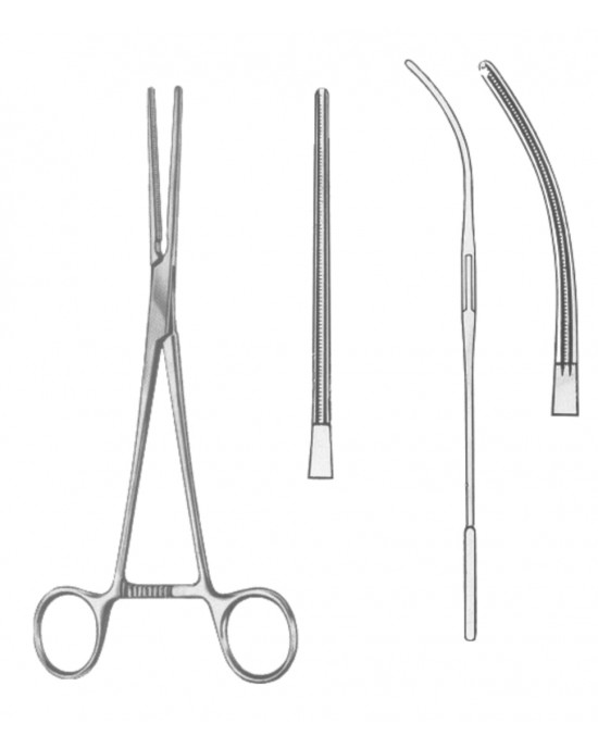 SS-19-5586-17