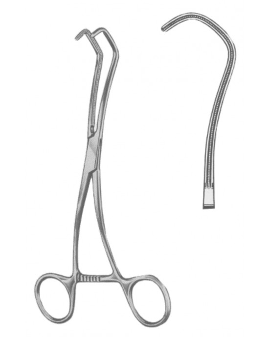 SS-19-5589-17
