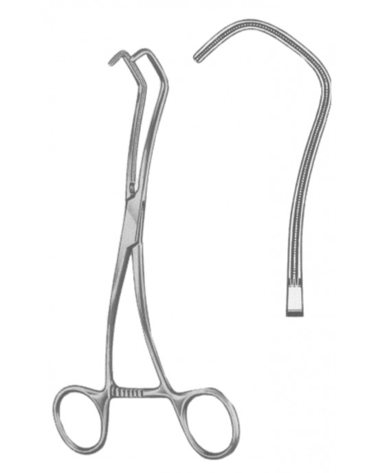 SS-19-5589-18
