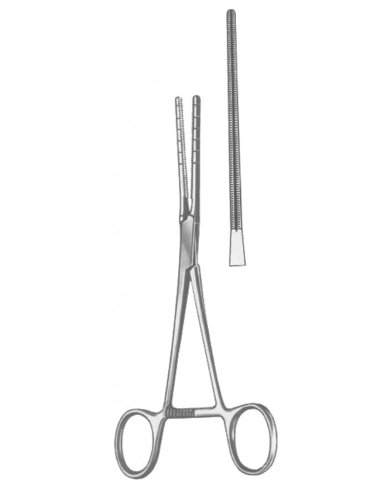 SS-19-5591-17