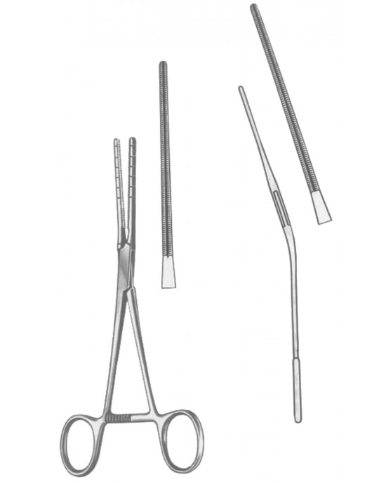 SS-19-5593-17