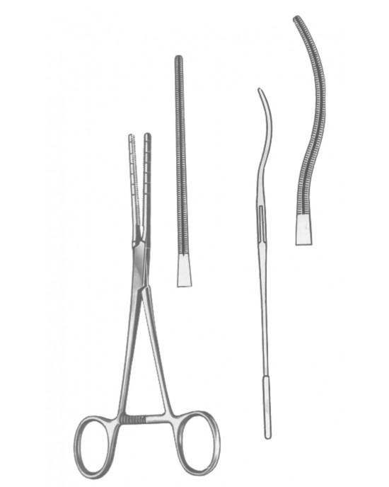 SS-19-5594-17