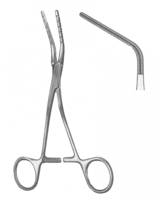SS-19-5596-02
