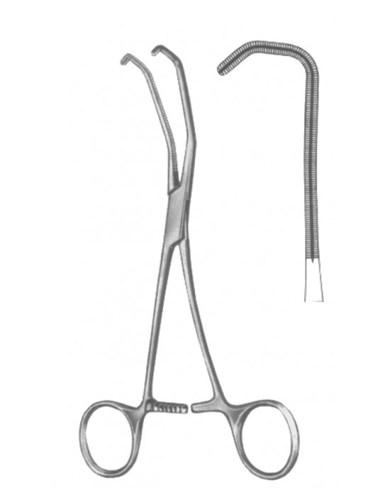 SS-19-5599-17