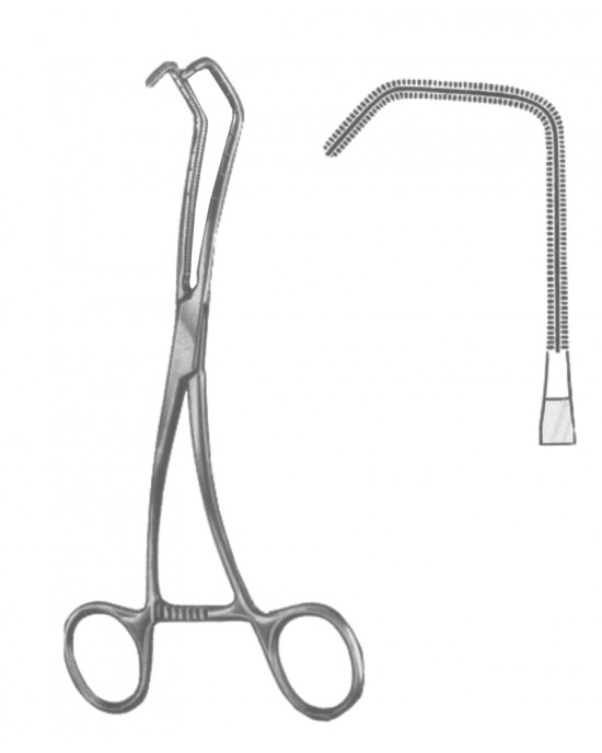SS-19-5600-01