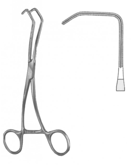 SS-19-5600-02