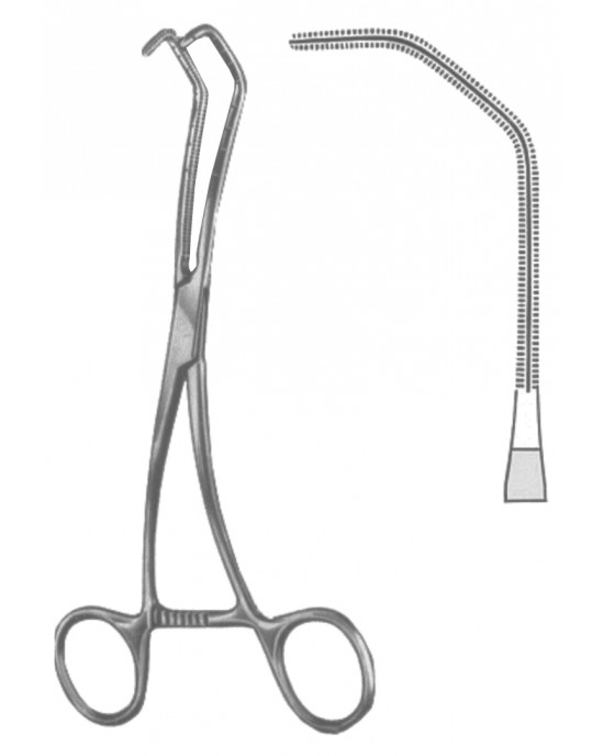 SS-19-5600-03