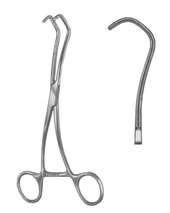 SS-19-5603-17