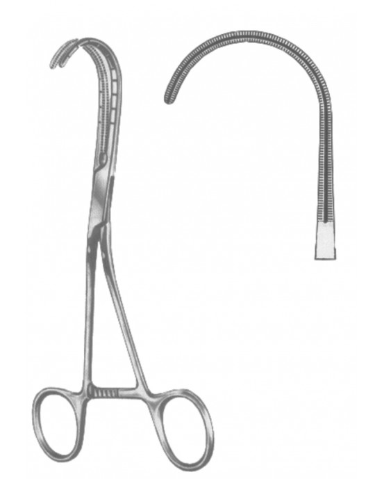 SS-19-5604-16