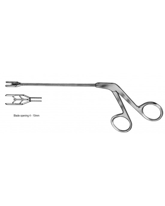 SS-19-5616-10