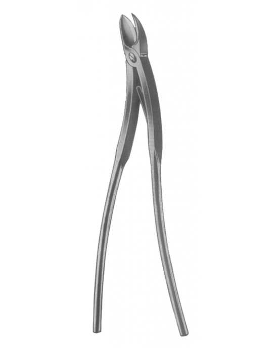 SS-19-5625-34