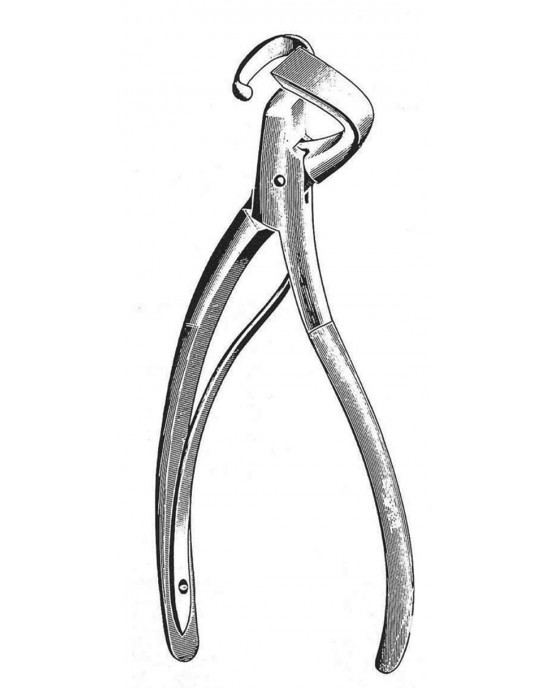 SS-19-5630-19