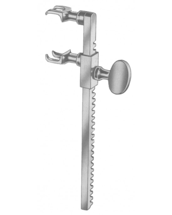 SS-19-5745-19
