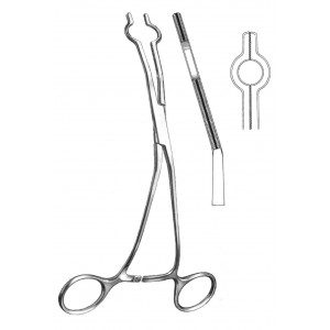SS-19-5765-01