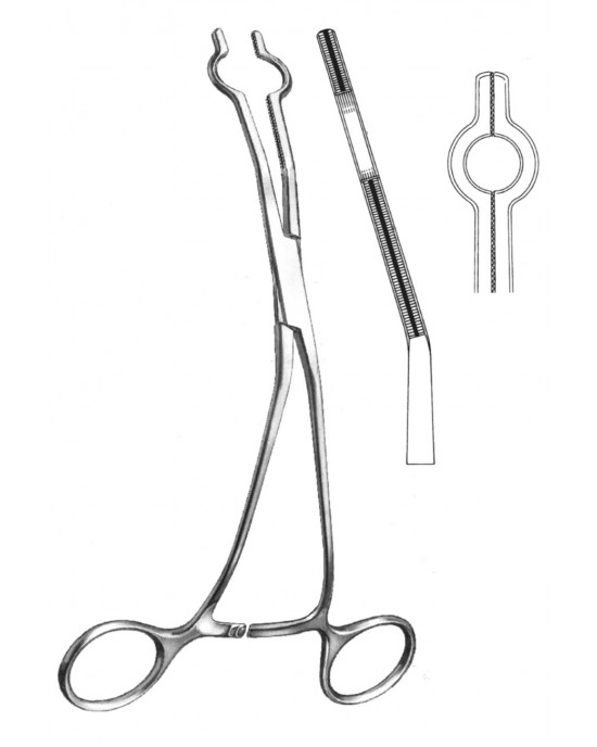 SS-19-5765-01