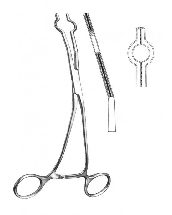 SS-19-5765-02