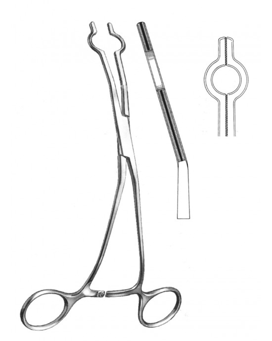 SS-19-5765-03
