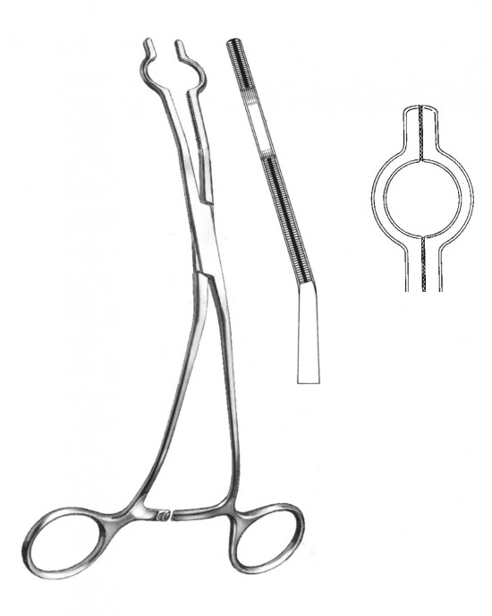 SS-19-5765-09
