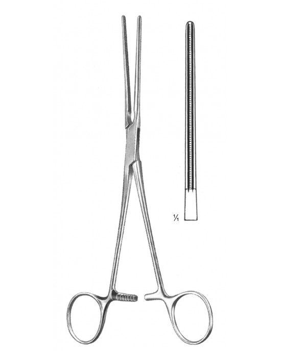 SS-19-5766-22