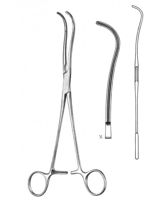 SS-19-5771-19