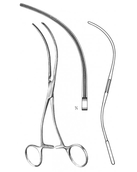 SS-19-5773-19