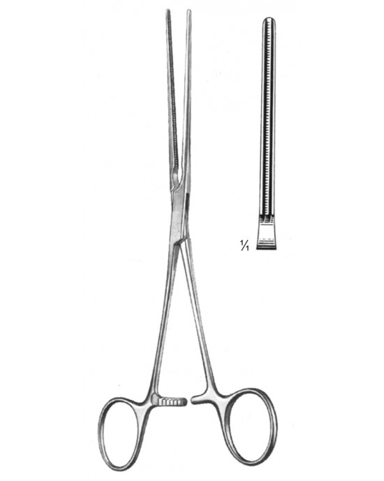 SS-19-5778-15