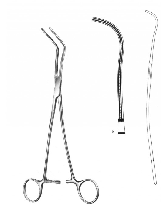SS-19-5795-01