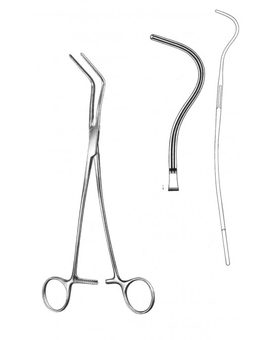 SS-19-5795-02