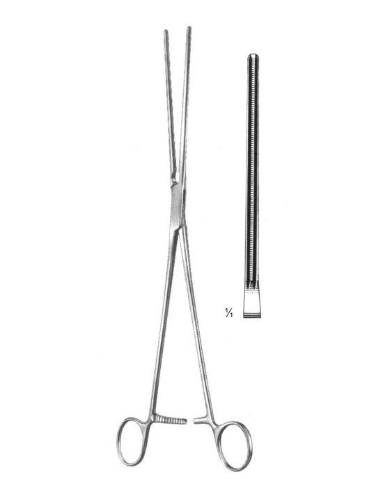 SS-19-5803-21