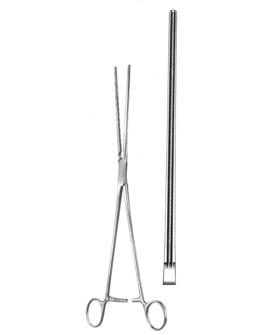 SS-19-5803-31