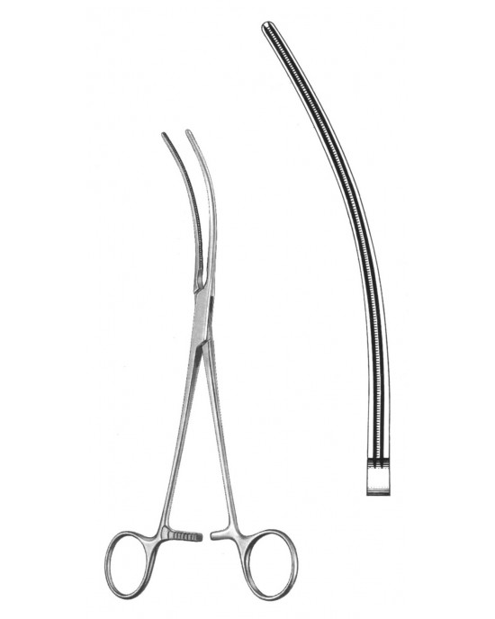SS-19-5804-31