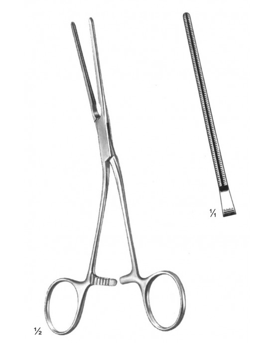 SS-19-5831-17