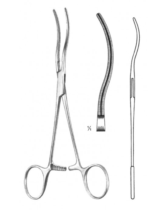 SS-19-5833-17