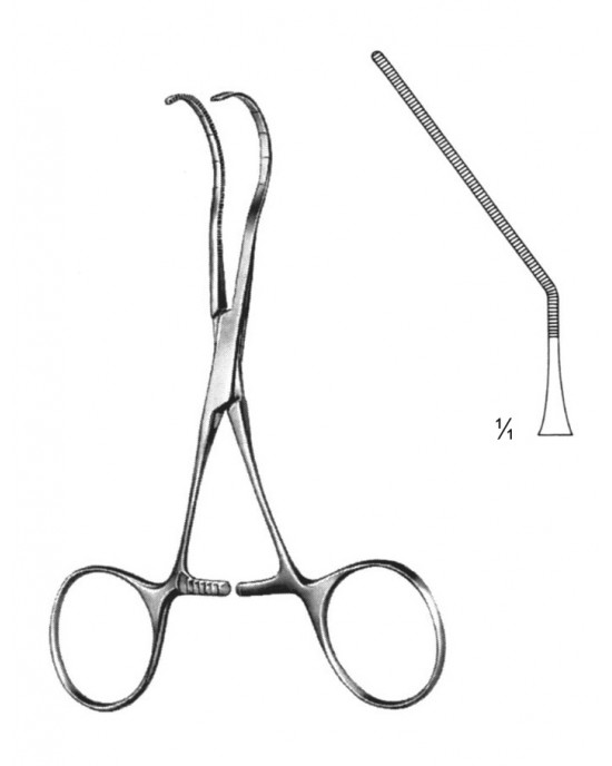SS-19-5849-01