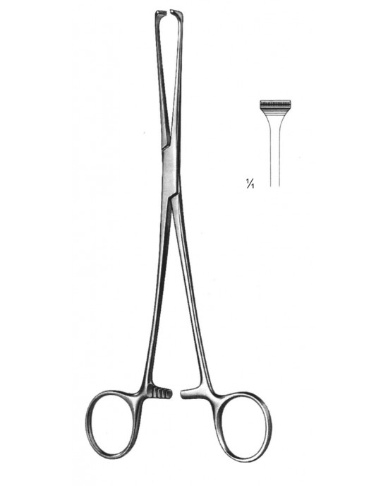 SS-19-5850-16